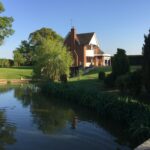 pond in rural garden