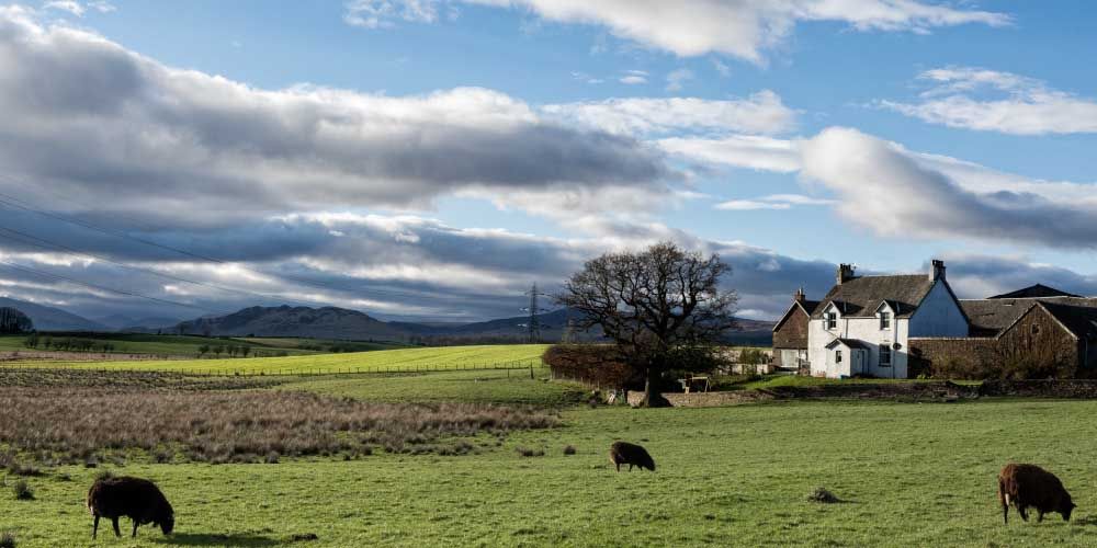 rural property surrounded by farmland